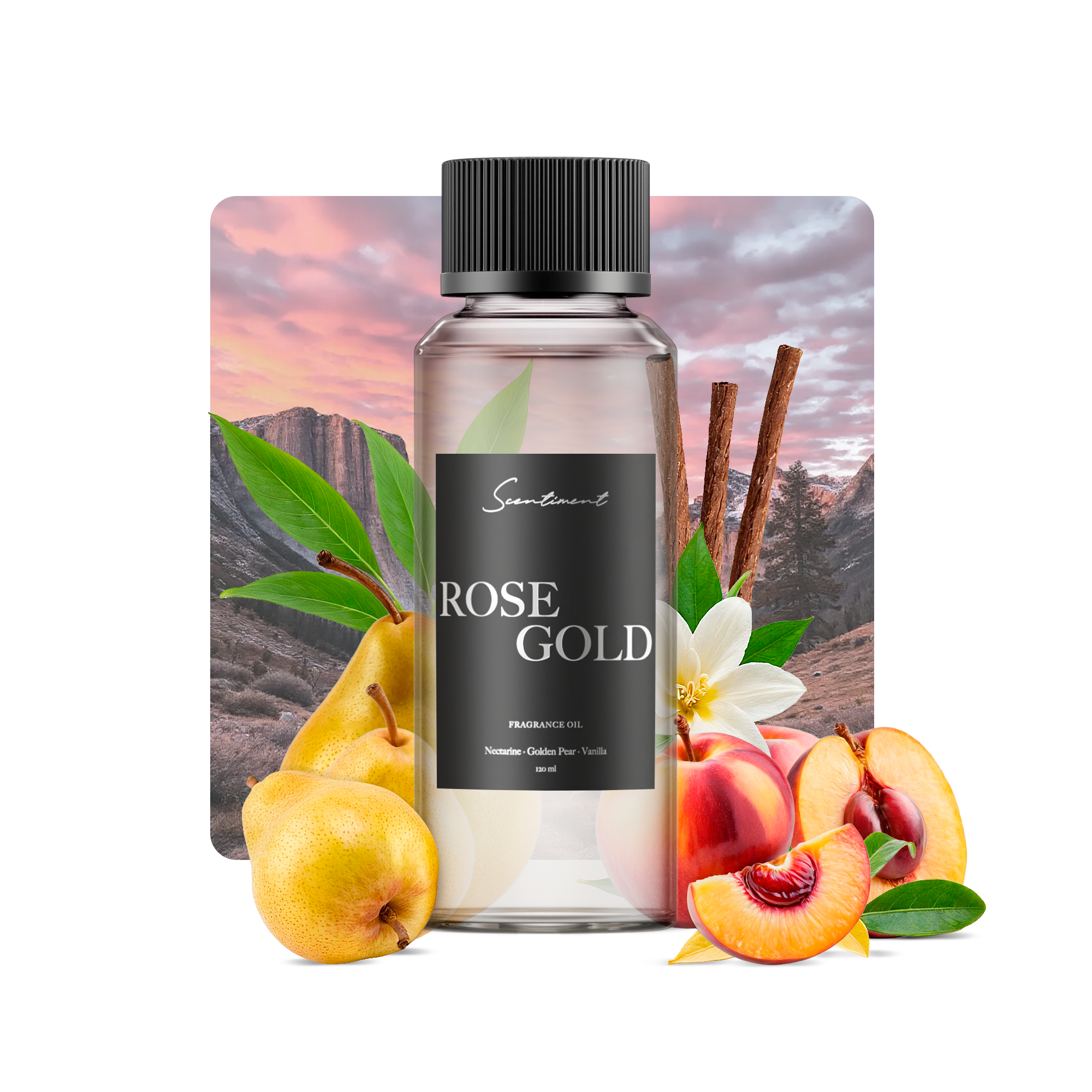Rose Gold Fragrance Oil