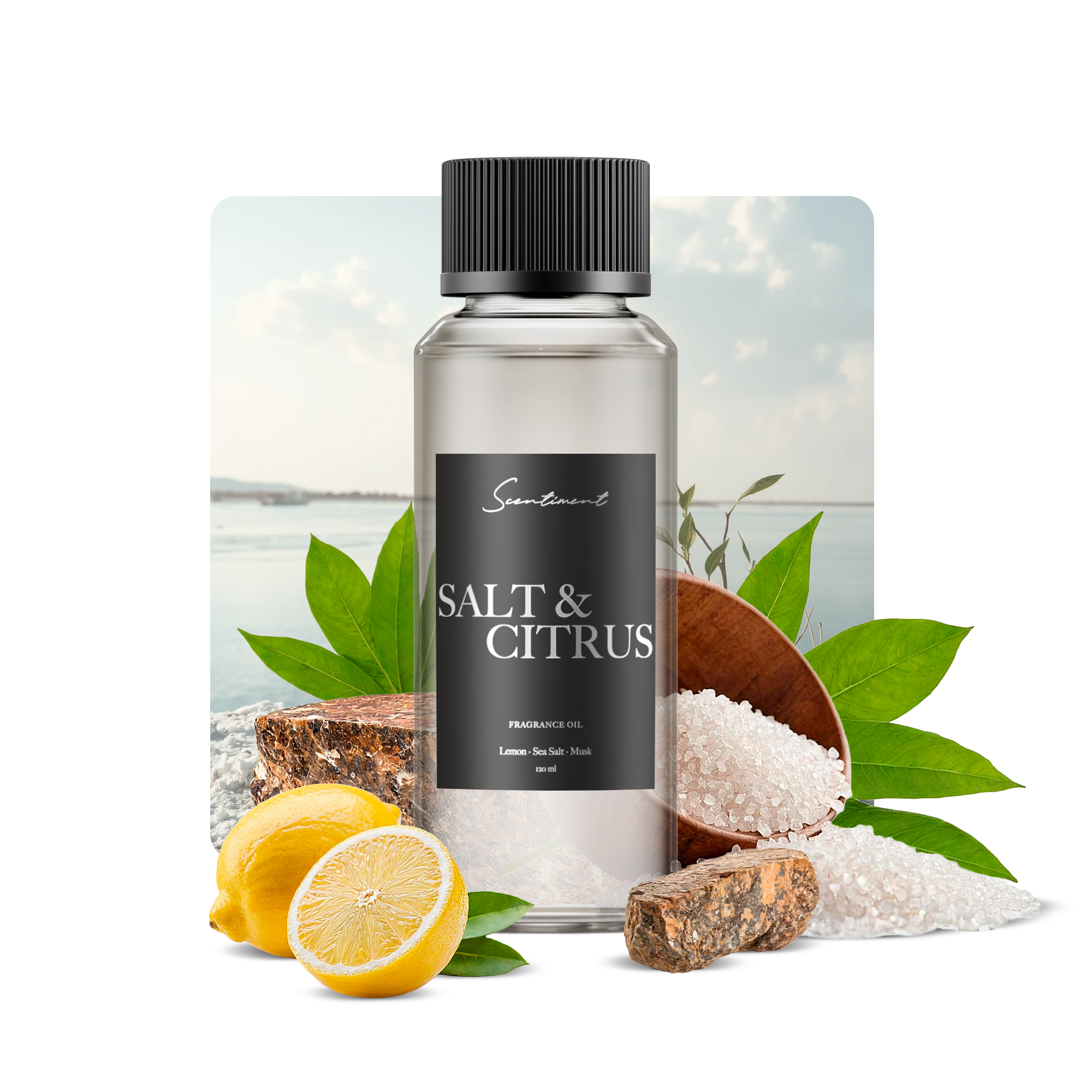 Salt & Citrus Fragrance Oil