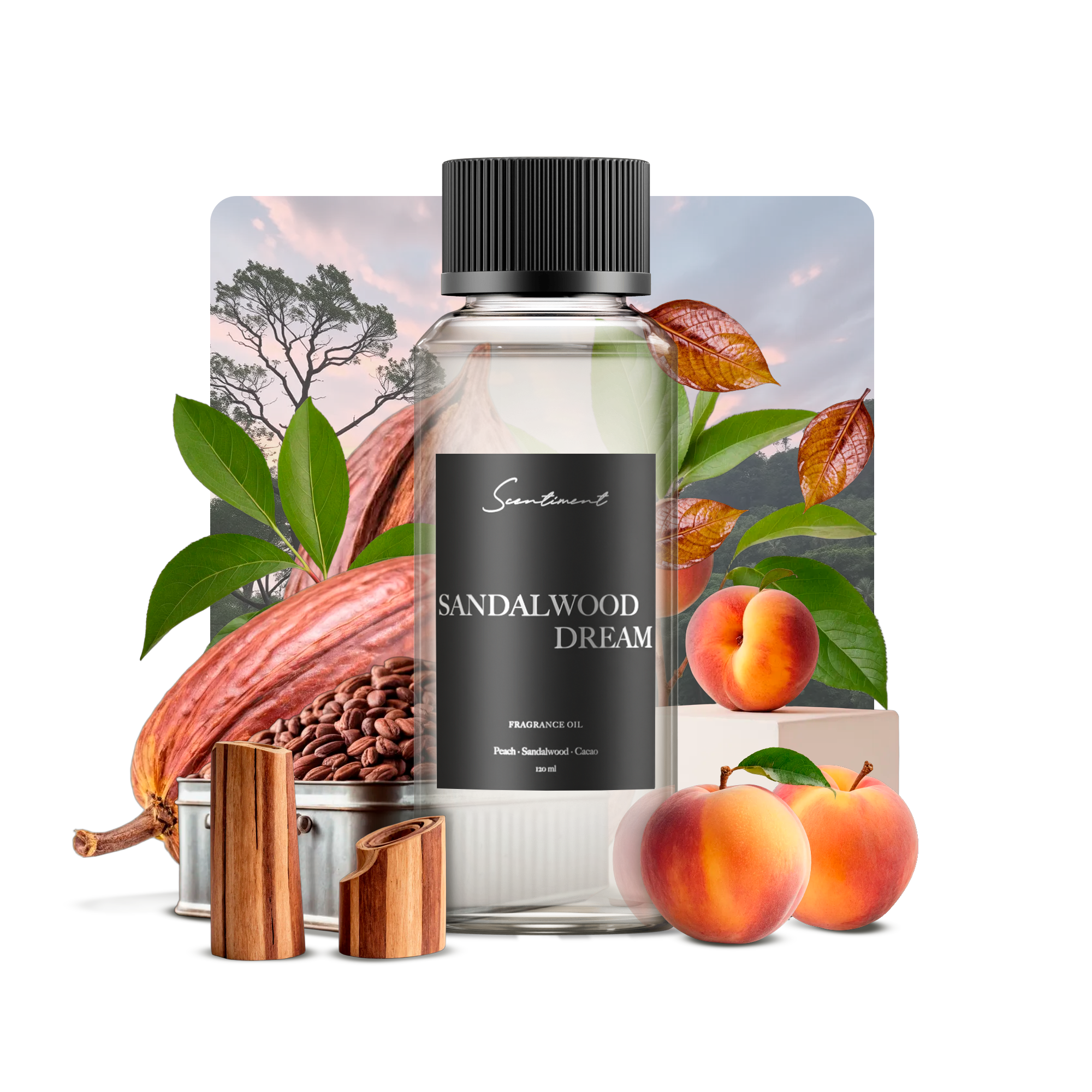 Sandalwood Dream Fragrance Oil with notes of Peach, Smoked Coconut, Rose Petals, Cacao, Sandalwood, White Musk