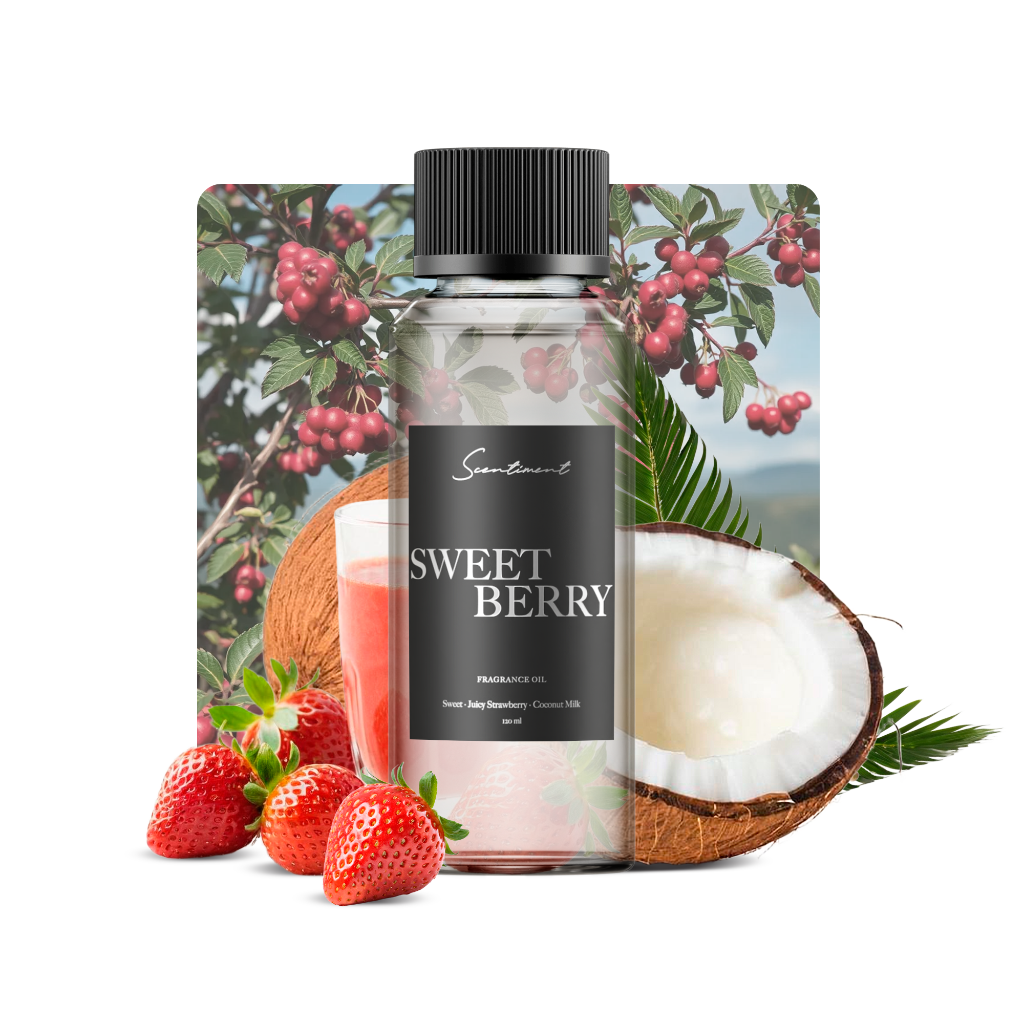 Sweet Berry Fragrance Oil