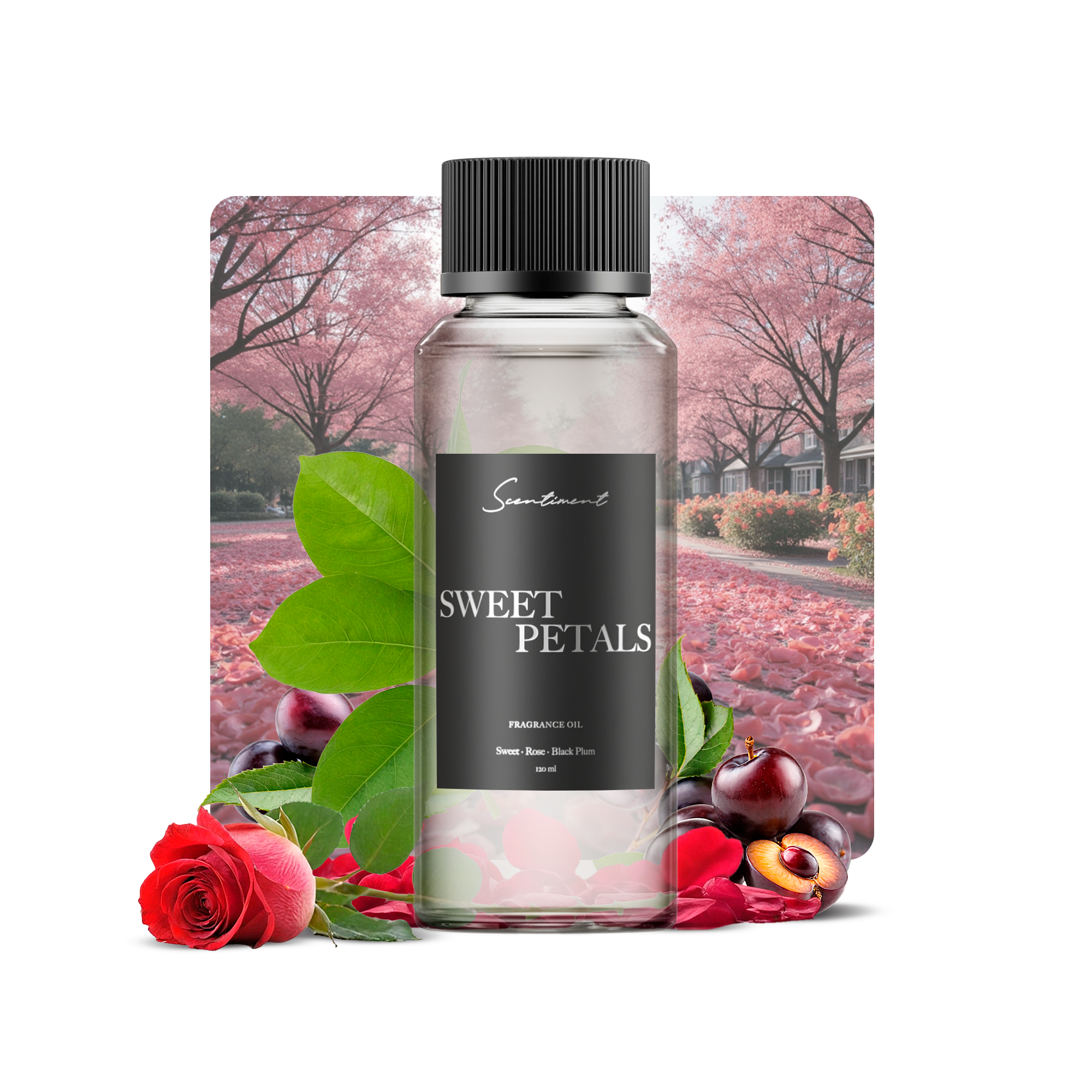 Sweet Petals Fragrance Oil
