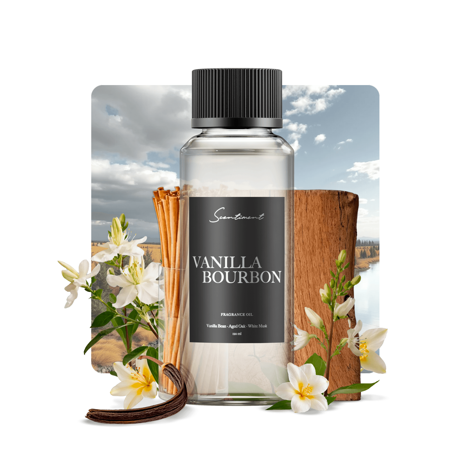 Scentiment Vanilla Bourbon fragrance oil with dark vanilla and aged oak notes
