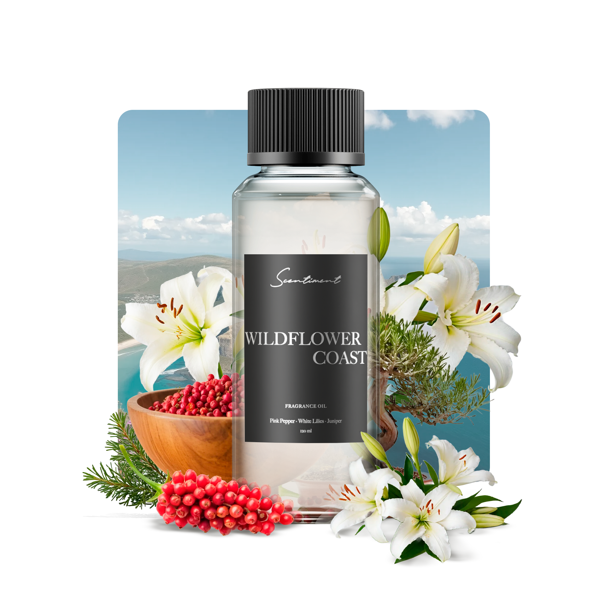 Wildflower Coast Fragrance Oil with notes of Pink Pepper, Jasmine, White Lilies, Juniper, Ambrette Seed, Driftwood