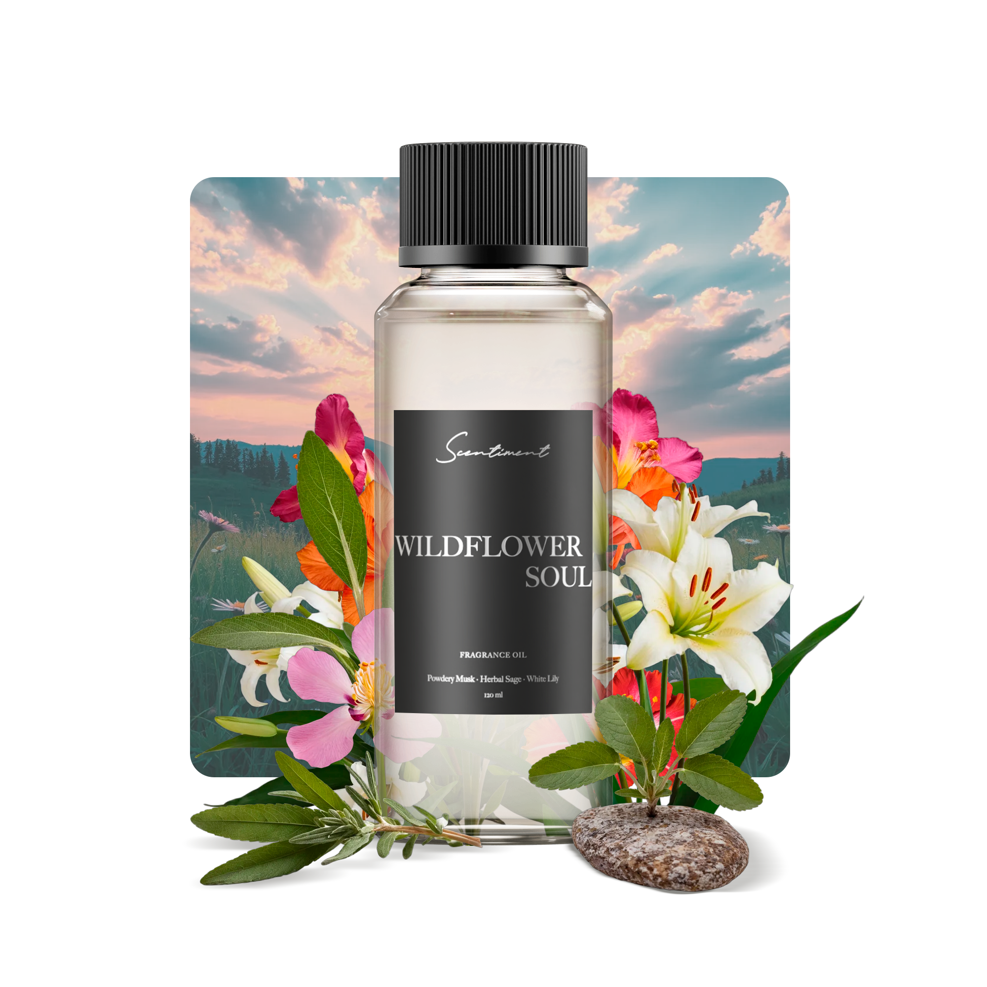 Wildflower Soul Fragrance Oil with notes of Velvety Cedarwood, Powdery Musk, and Amber, Herbal Sage, White Lily, and Earthy, Petitgrain