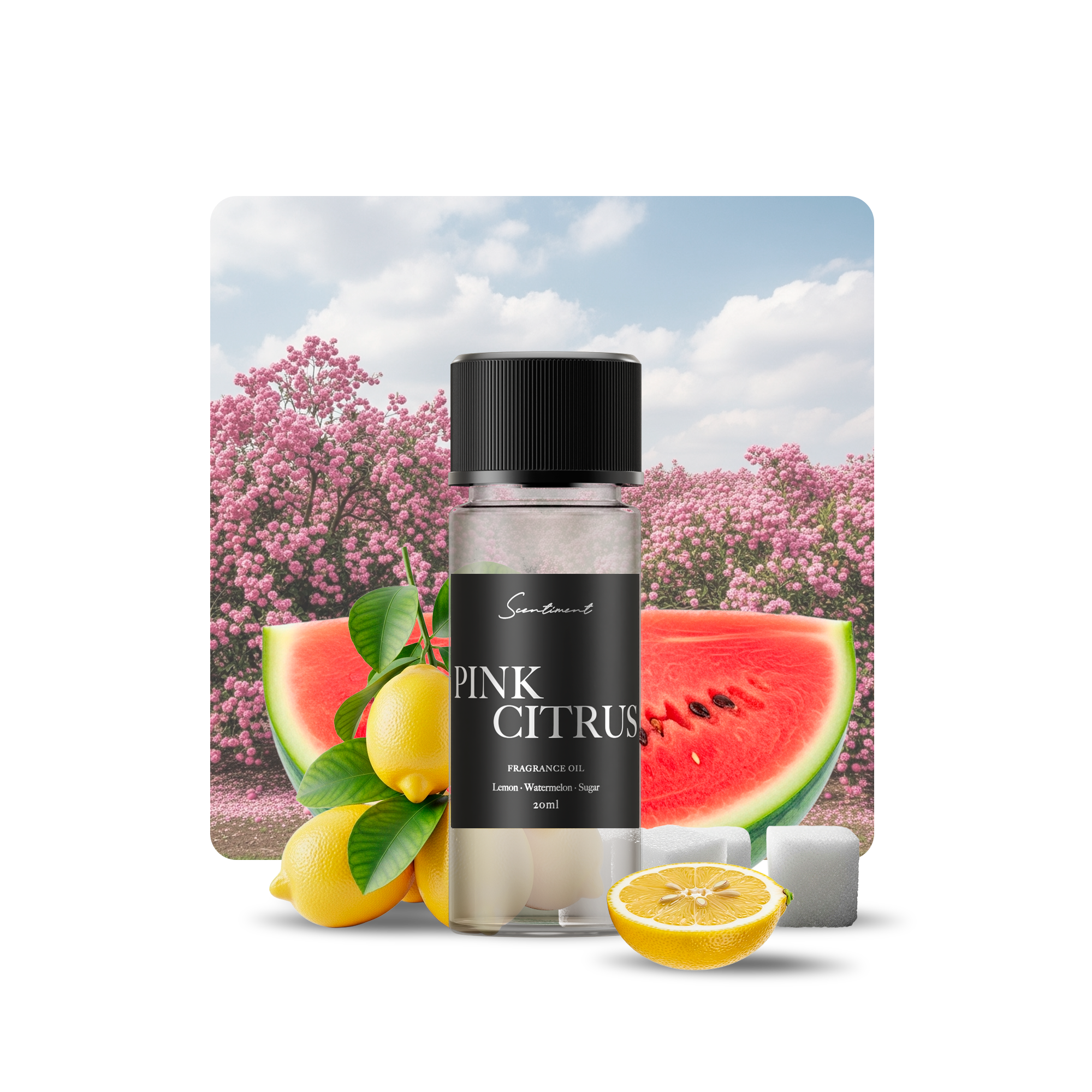 Pink Citrus Diffuser Oil Inspired by the bright and juicy scent of Watermelon Lemonade With Ingredients