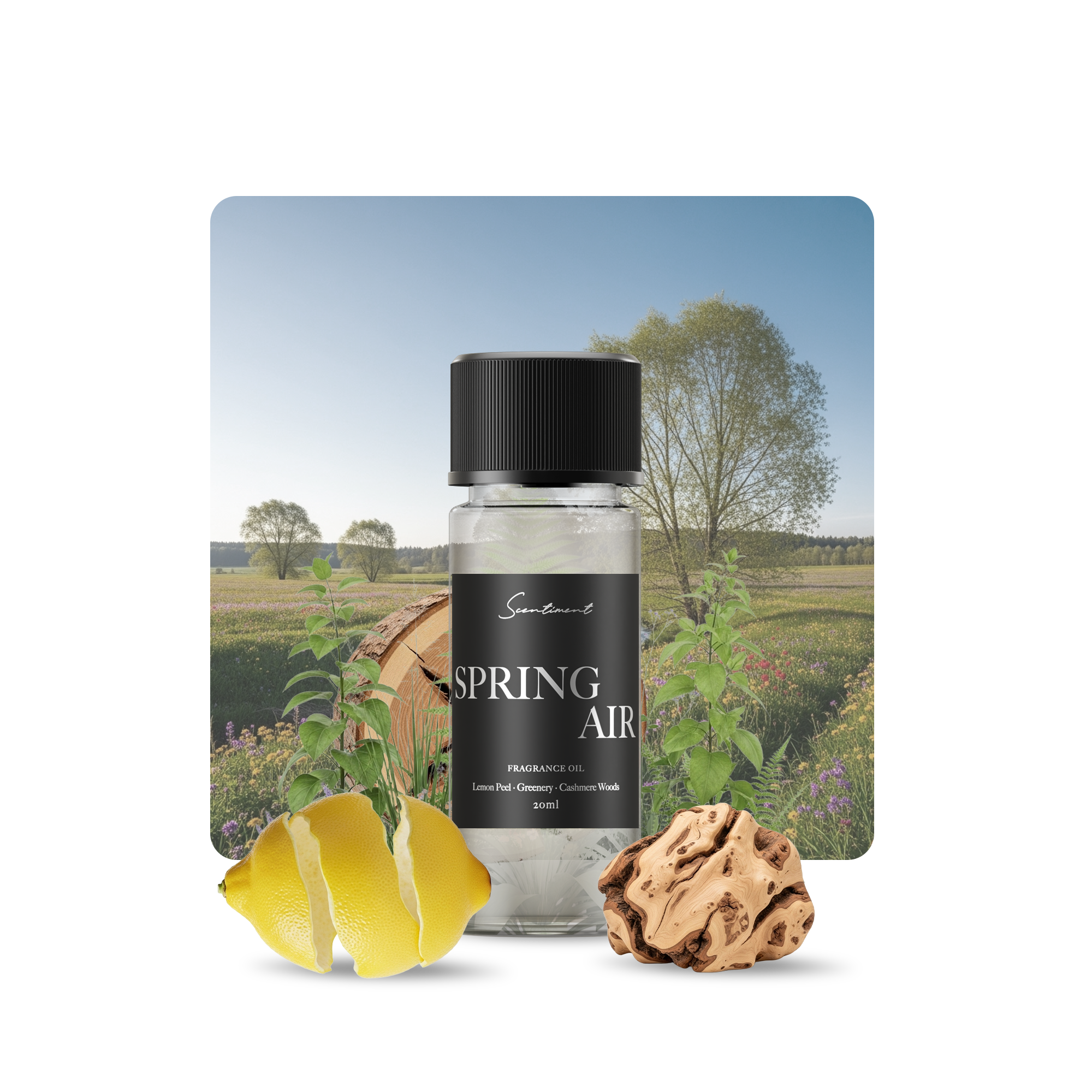 Spring Air Diffuser Oil Inspired by the fresh, green scent of Spring Garden With Ingredients