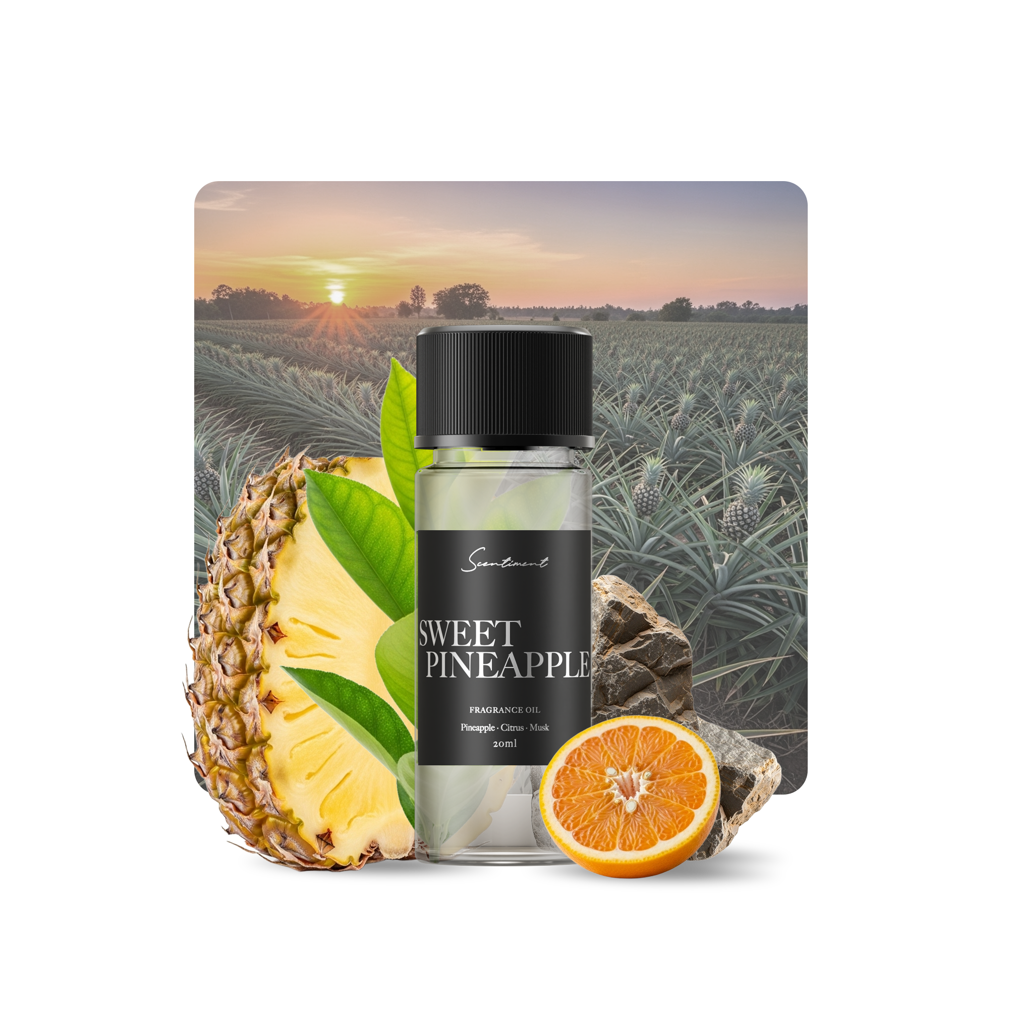 Sweet Pineapple Diffuser Oil Inspired by the tropical brightness of Pineapple Slices With Ingredients
