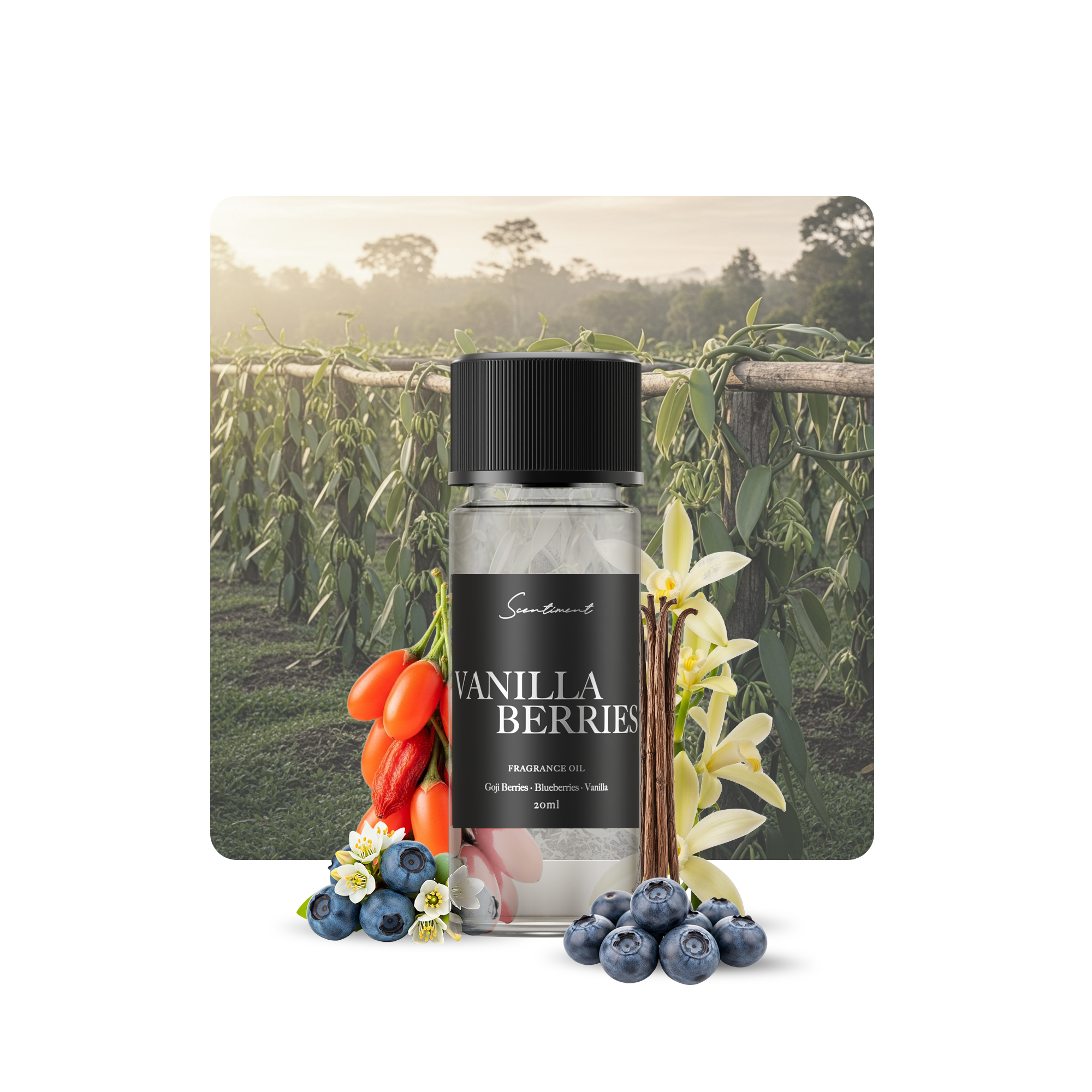 Vanilla Berries Diffuser Oil Inspired by the juicy, fruity scent of Berry Blue With Ingredients