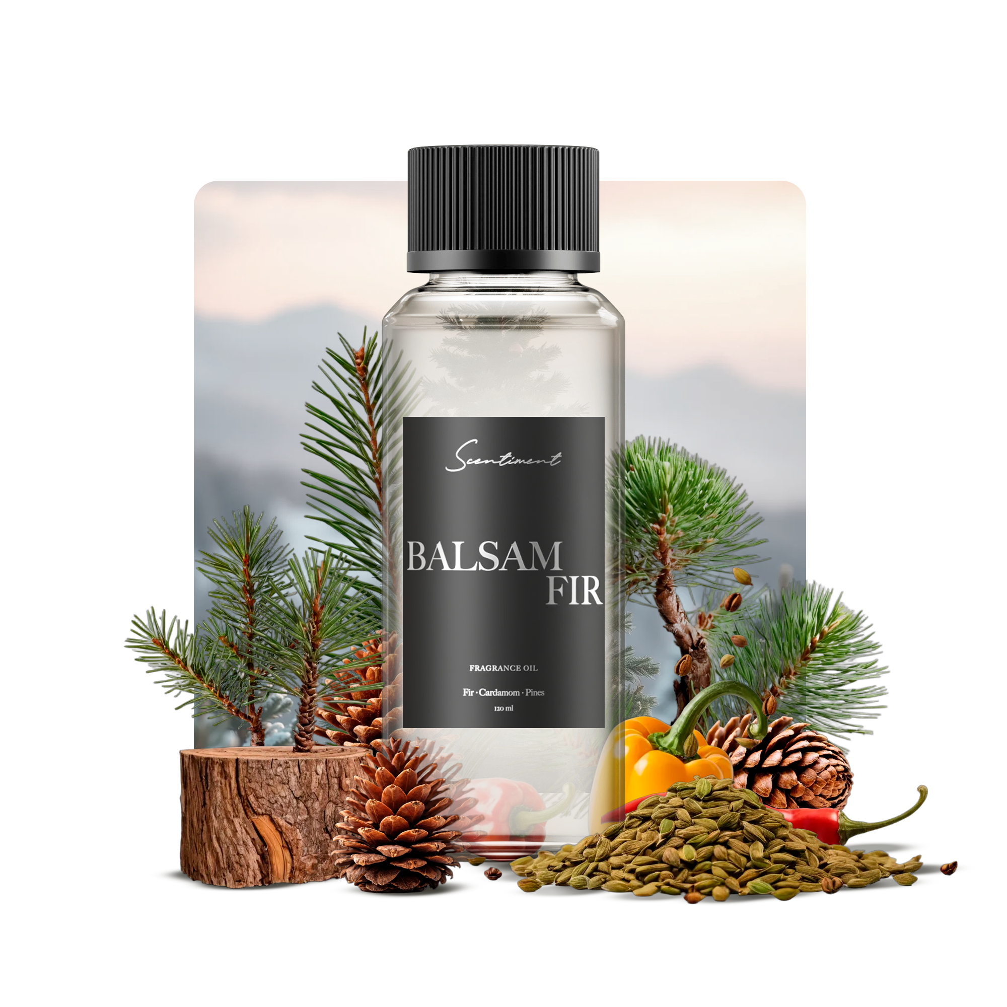 Balsam Fir Fragrance Oil with notes of Fir Balsam, Pine, Cardamom, Pepper, Scotch Pine