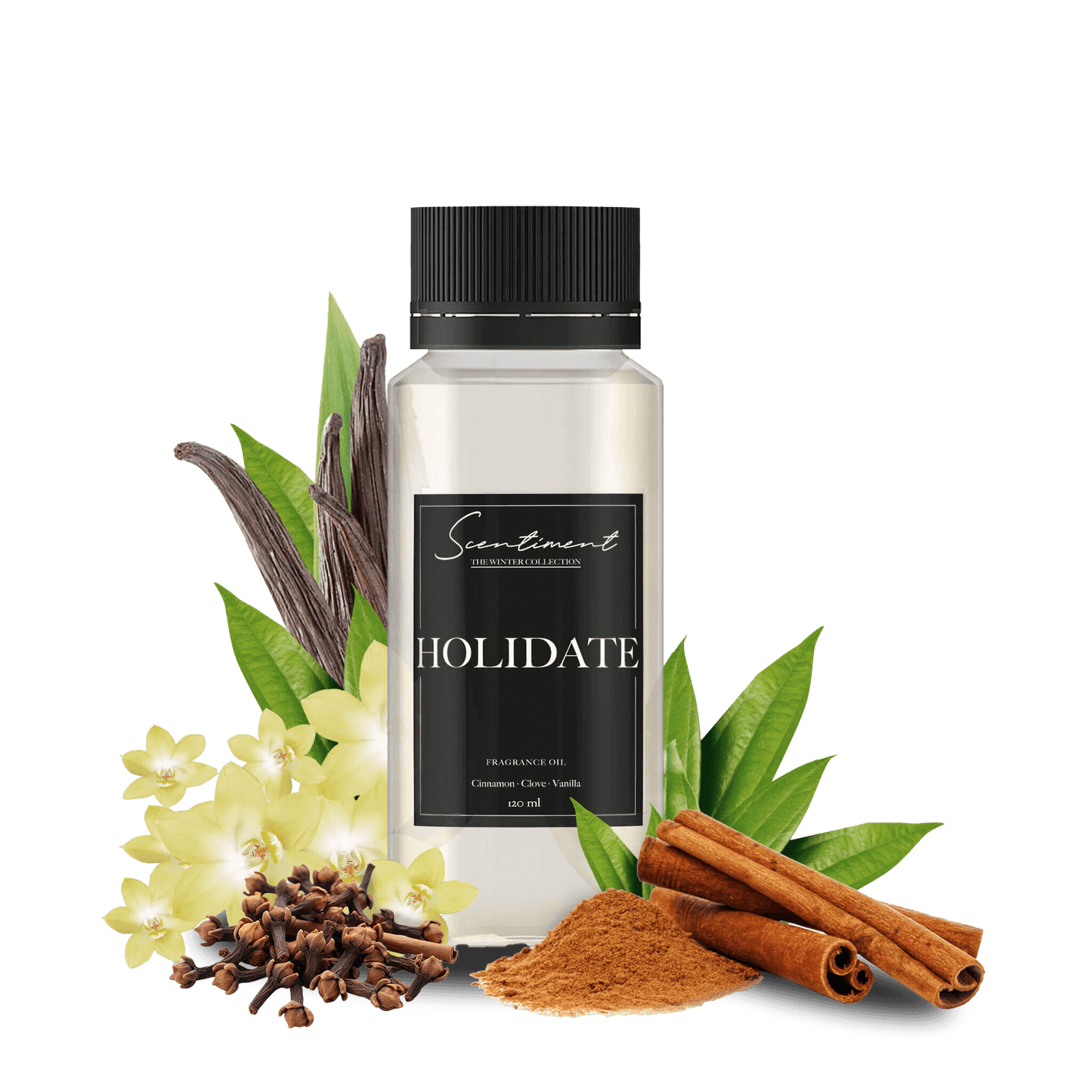 Holidate Fragrance Oil with notes of Cinnamon, Clove, and Vanilla.