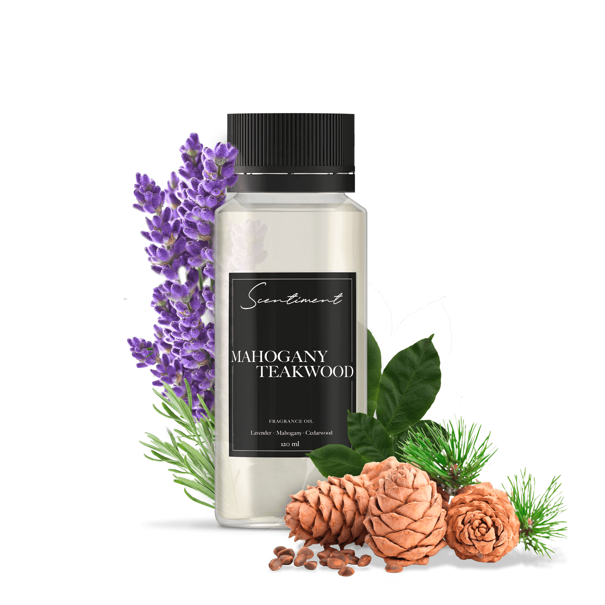 Mahogany Teakwood Fragrance Oil – Scentiment