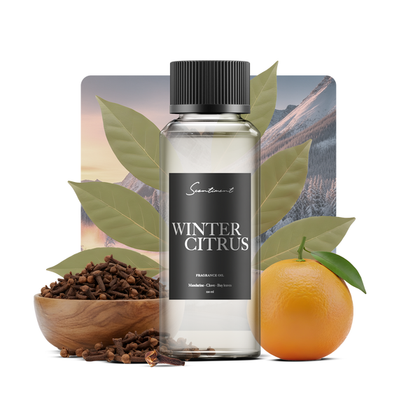 Winter Citrus fragrance oil with ingredients mandarine, clove and bay leaves