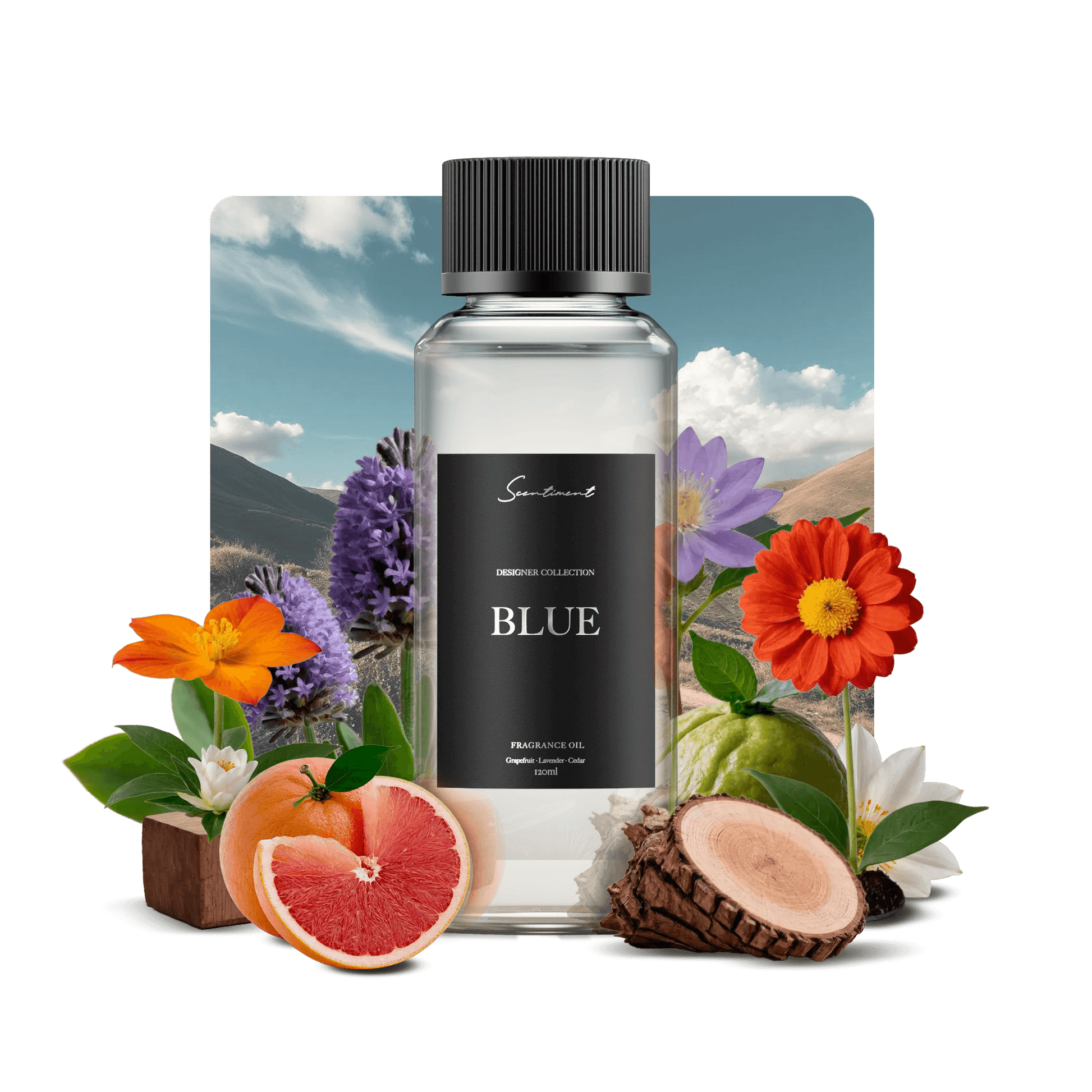 Chanel bleu oil shop