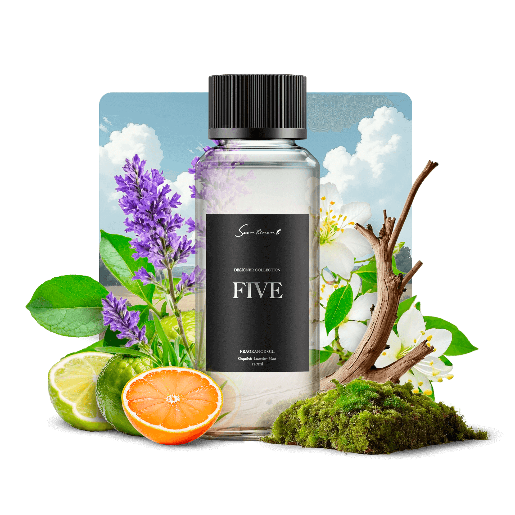 Chanel n 5 ingredients shop