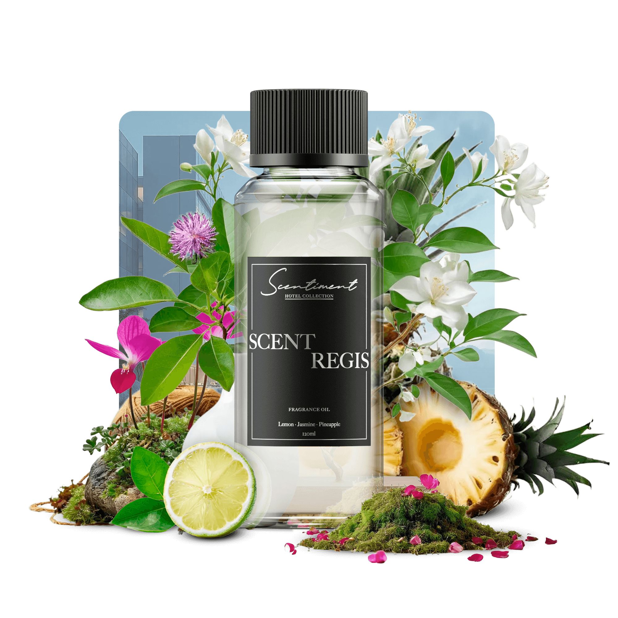 st-regis-inspired-hotel-scent-at-home-scent-regis-fragrance-oil