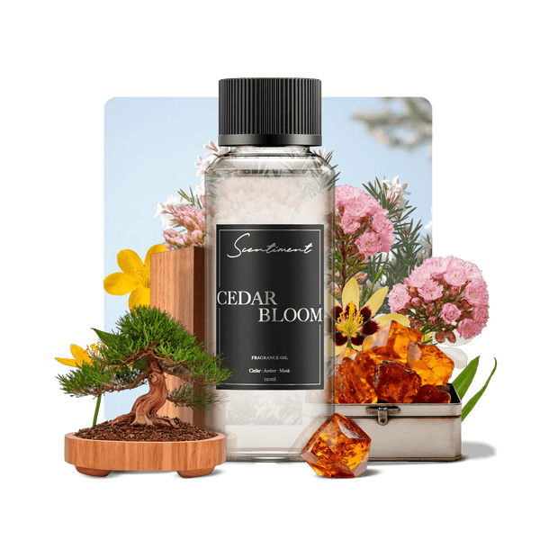 Cedar Bloom Fragrance Oil with notes of Floral, Rose, Woody, Cedar, Amber, Musk