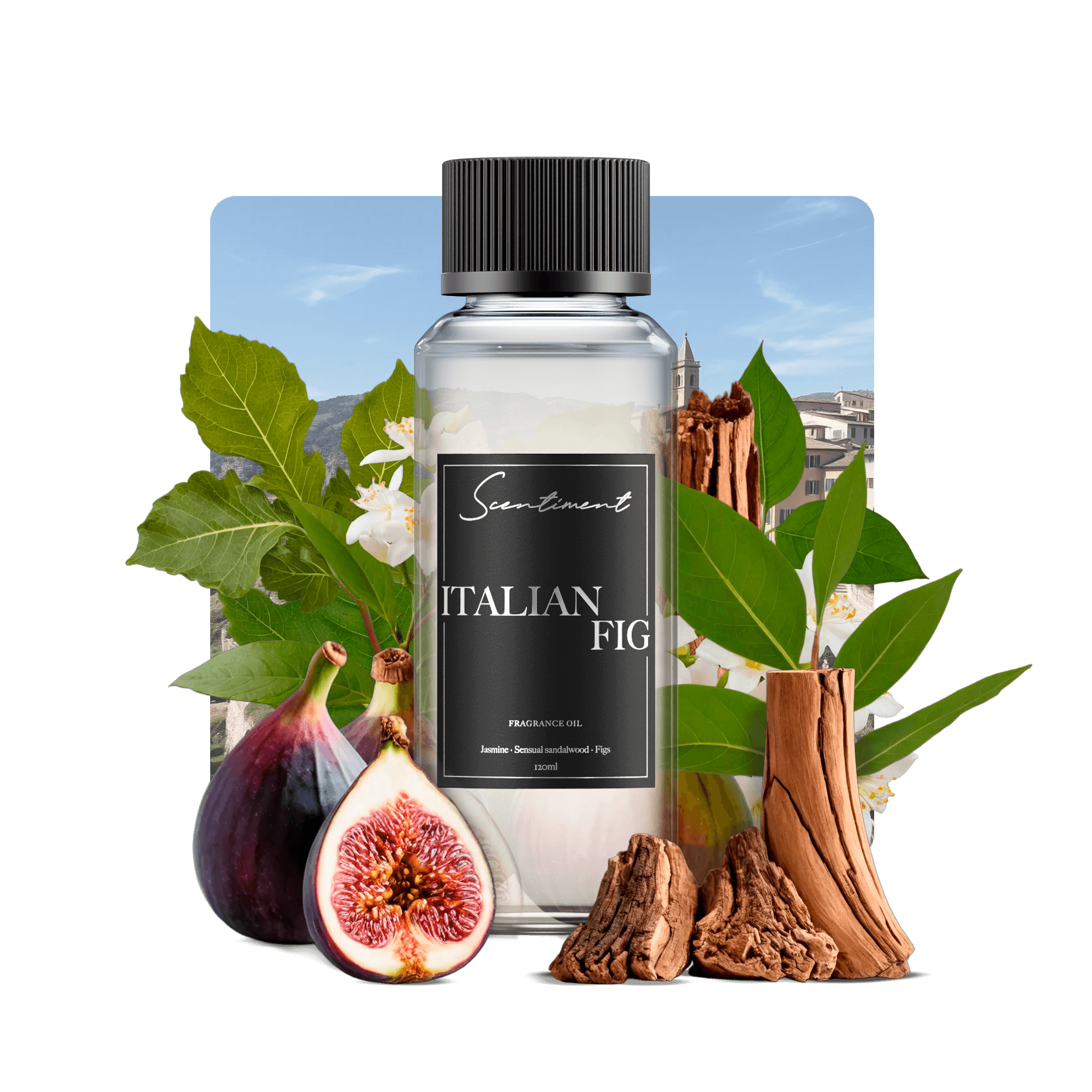 Italian Fig Fragrance Oil with notes of Italian Figs, Jasmine, Sensual Sandalwood