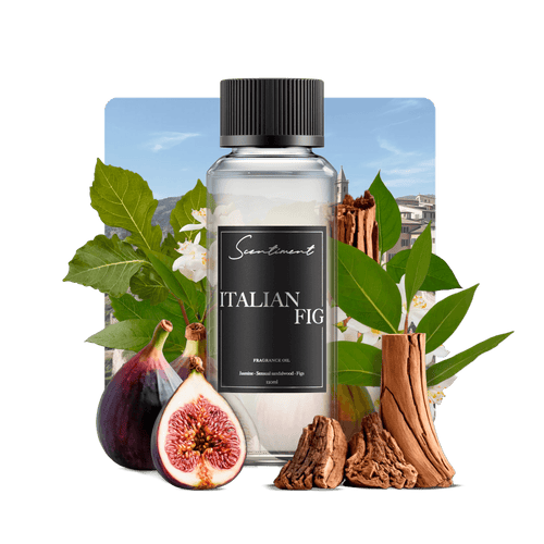 Italian Fig Fragrance Oil with notes of Italian Figs, Jasmine, Sensual Sandalwood