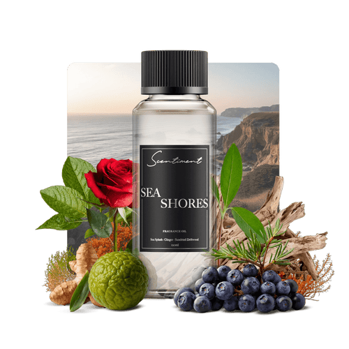Sea Shores Fragrance Oil with notes of Sea Splash, Ginger, Musk