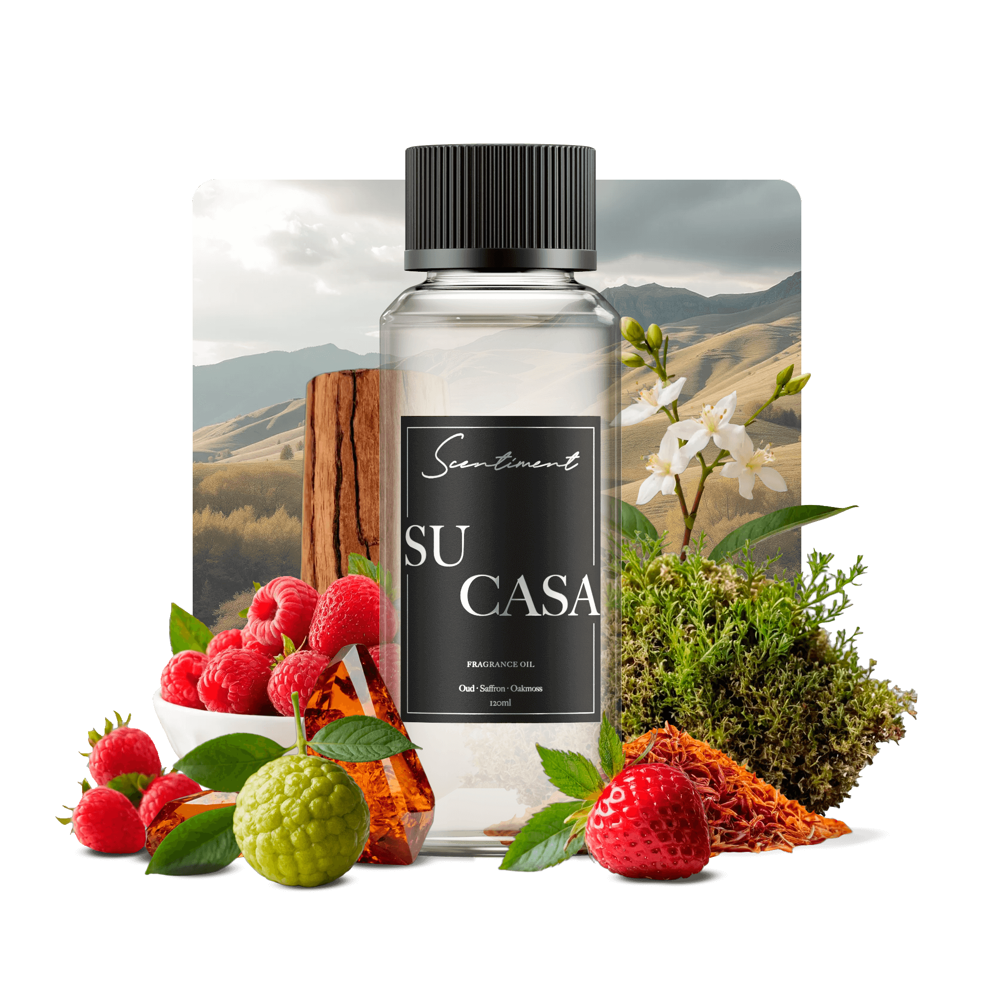 Su Casa Fragrance Oil with notes of Oud, Seffron, Oakmoss
