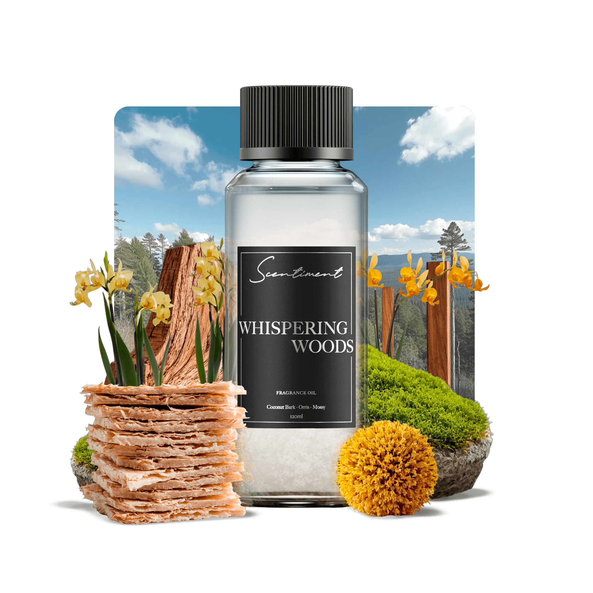 Whispering Woods Fragrance Oil with notes of Sandalwood, Coconut Bark, Orris, Mossy, Teakwood, Amber