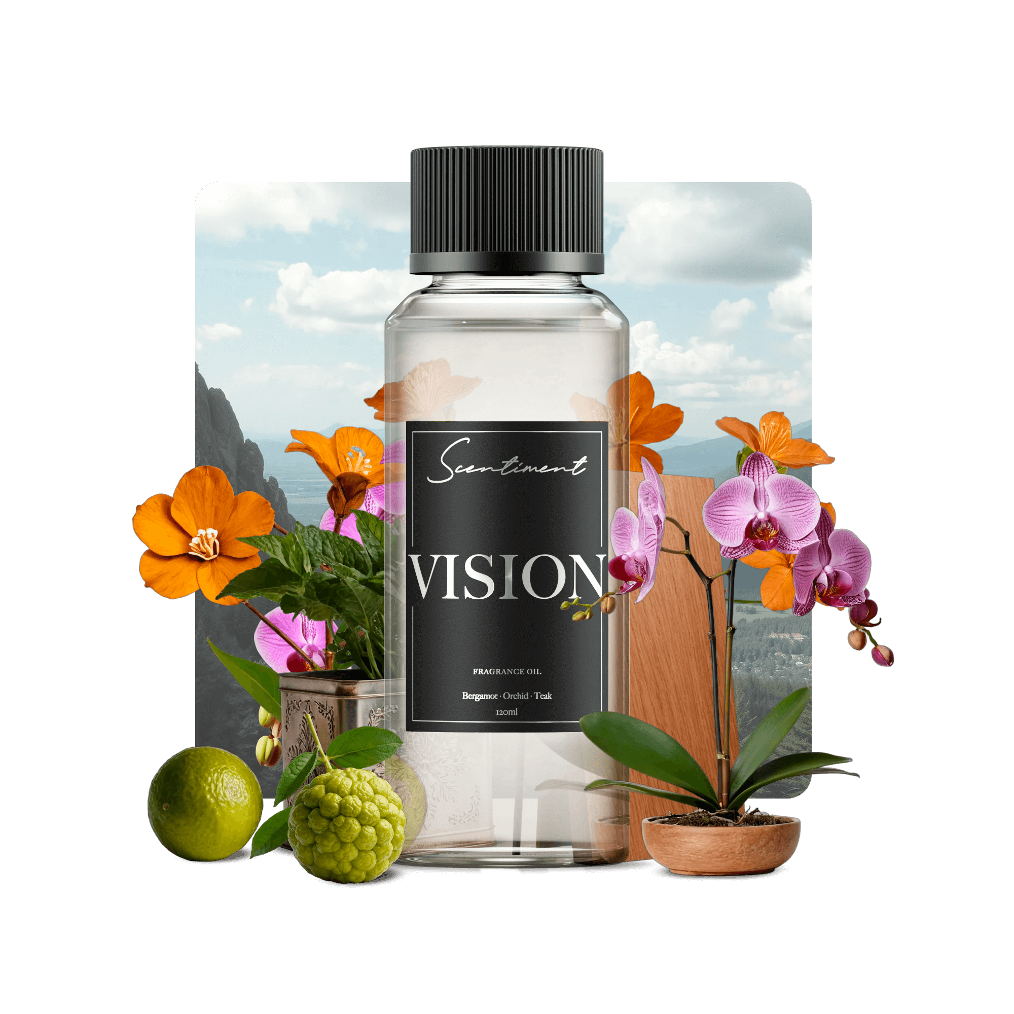 Vision Fragrance Oil with the notes of Bergamot, Orchid , Teak