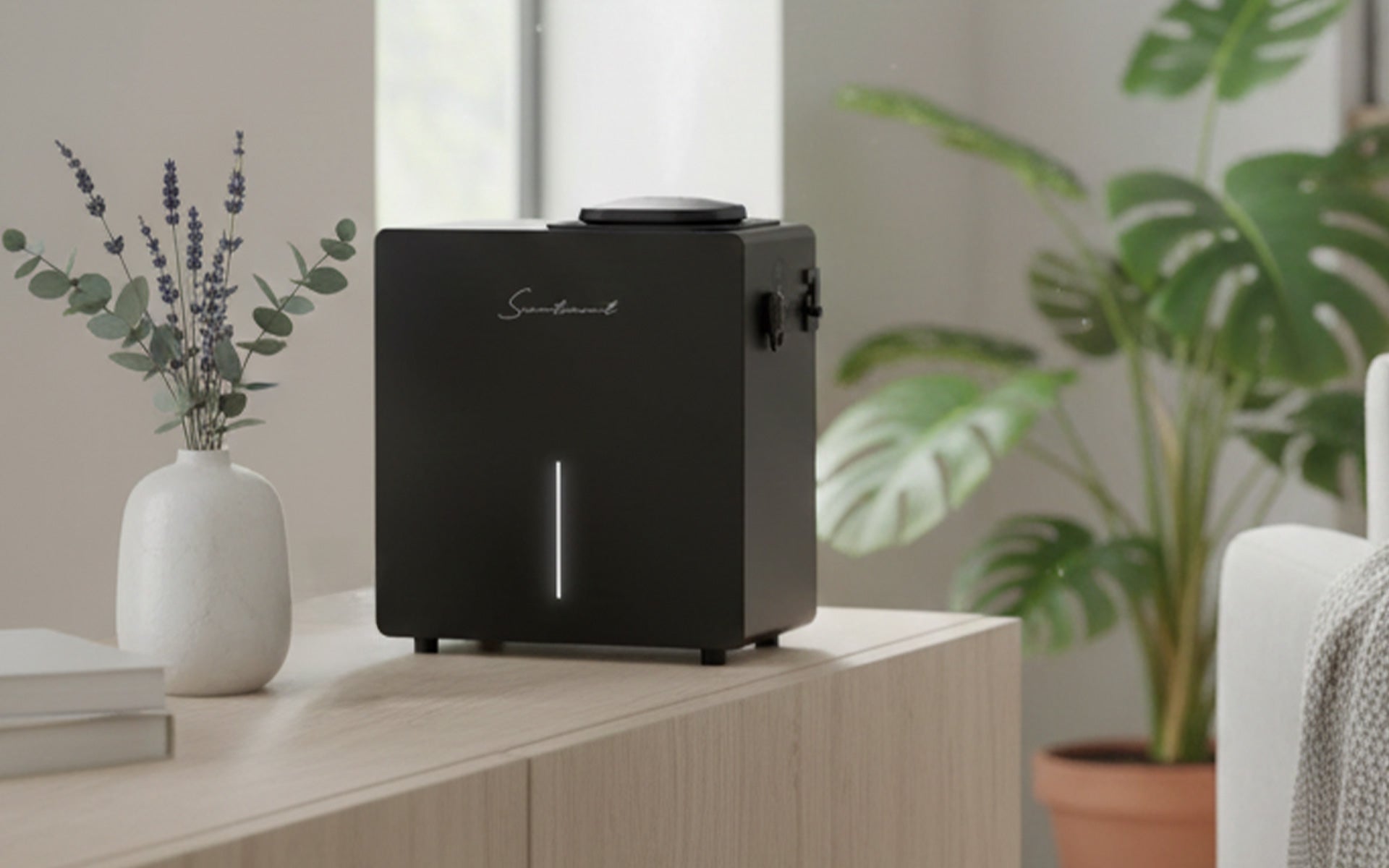 Big Coverage. Clean Fragrance.