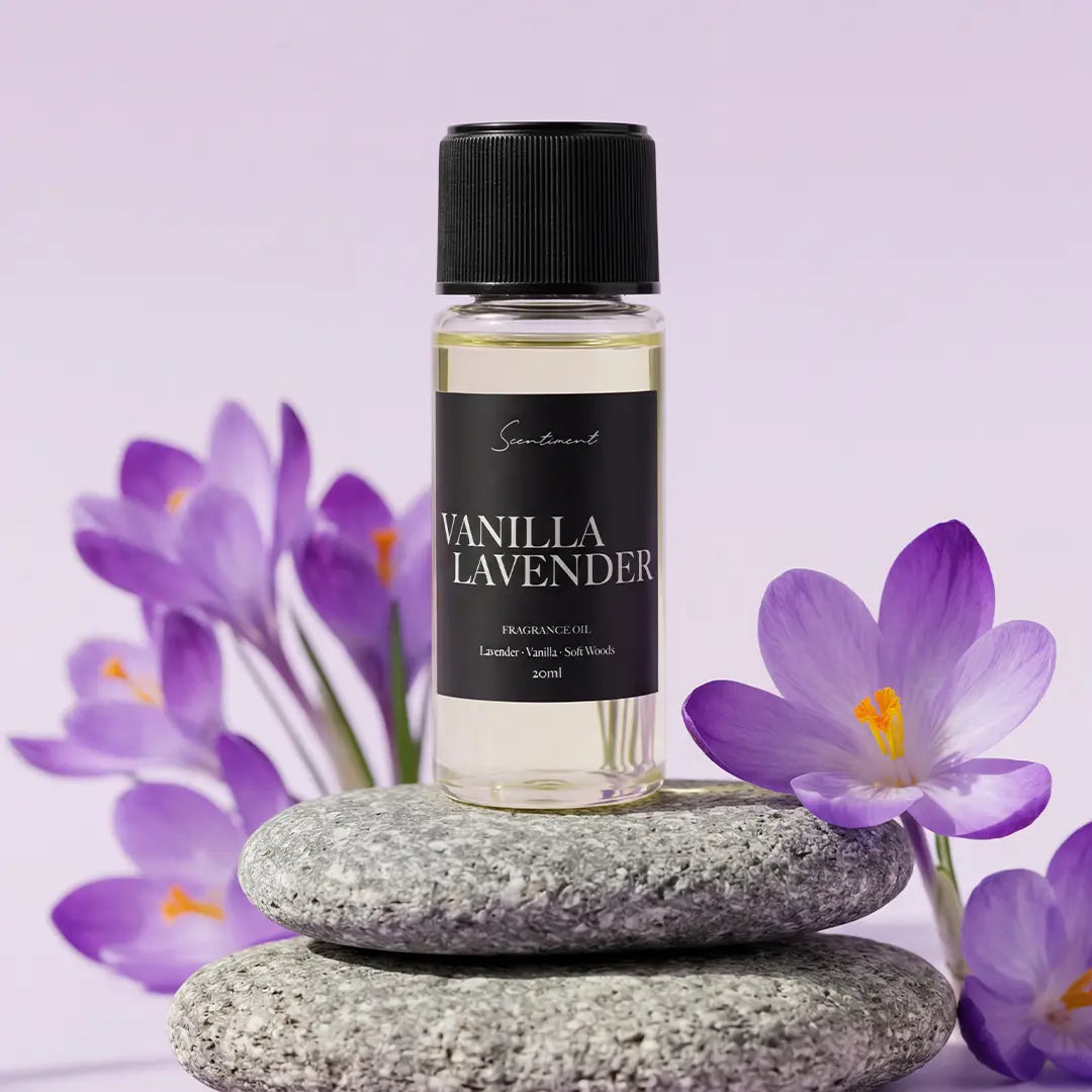 Vanilla <em>Lavender</em>