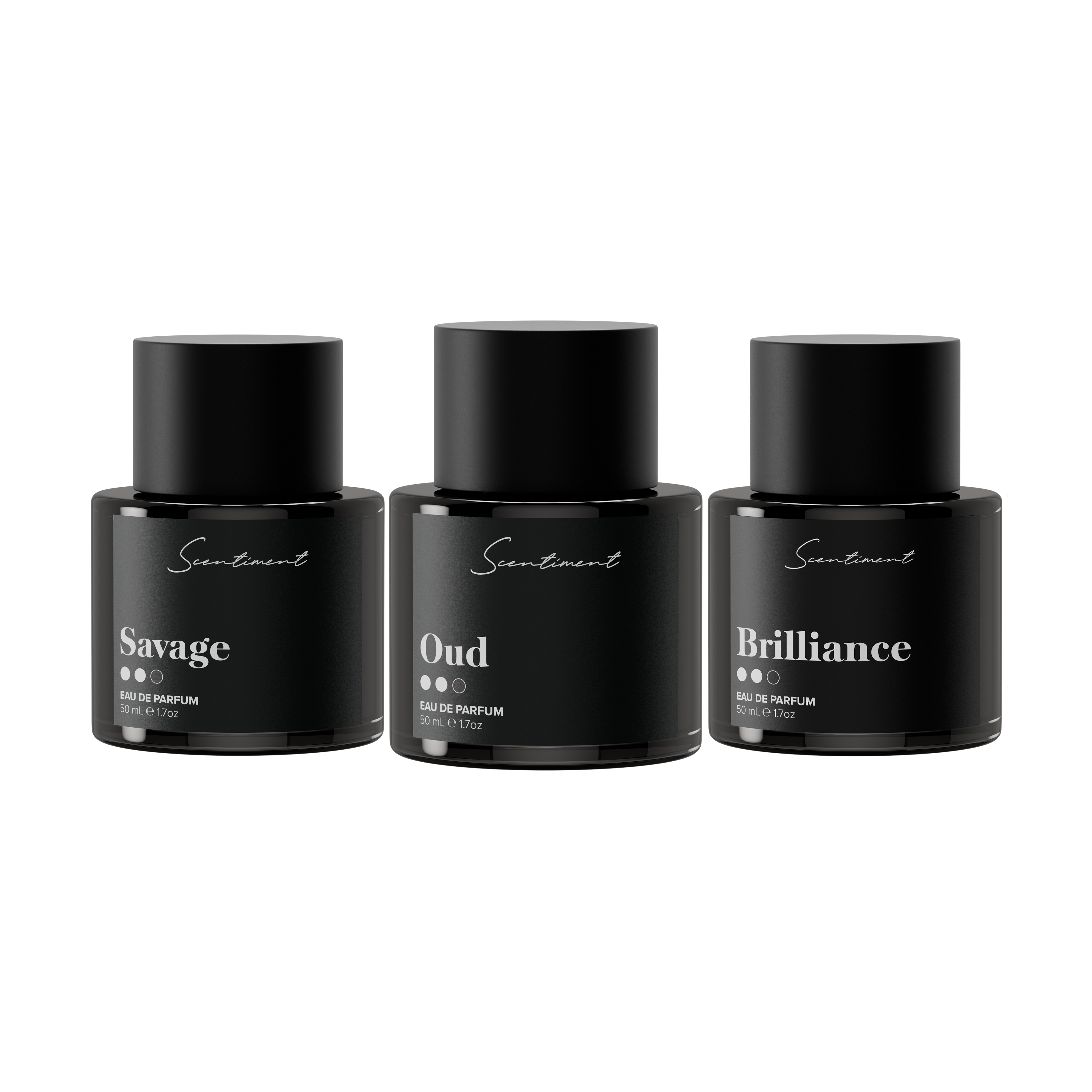 Scentiment Top 3 Men Perfumes