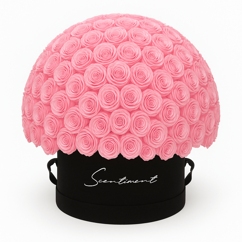 150 Pink Preserved Eternity Roses in Medium Round Black Suede Box