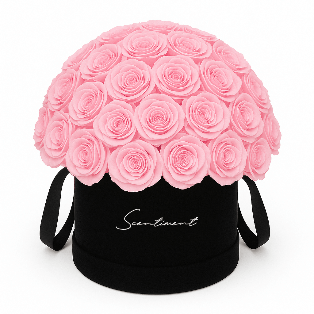 50 Pink Preserved Eternity Roses in Medium Round Black Suede Box
