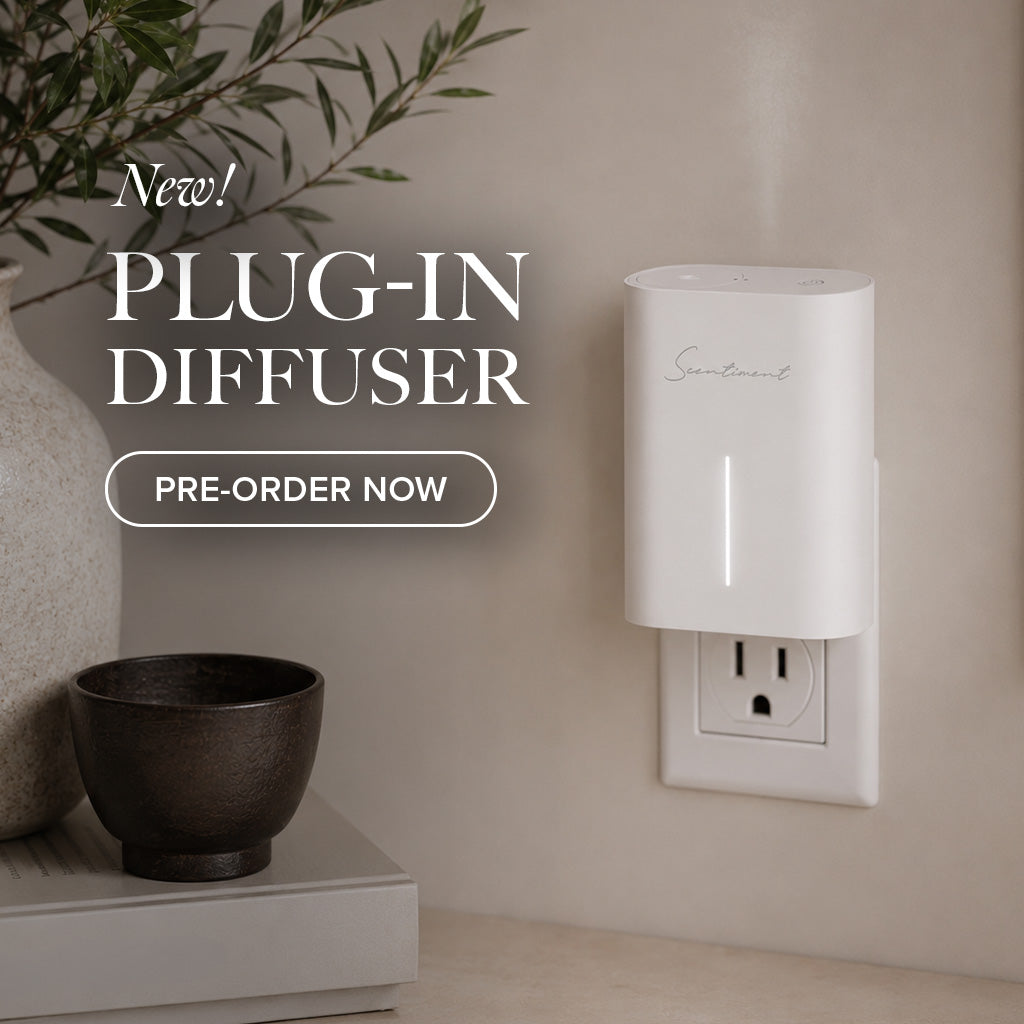 Plug in diffuser