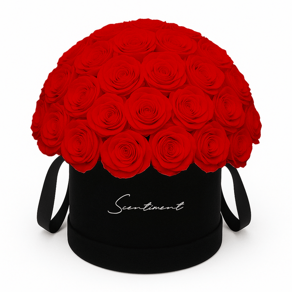 50 Red Preserved Eternity Roses in Medium Round Black Suede Box