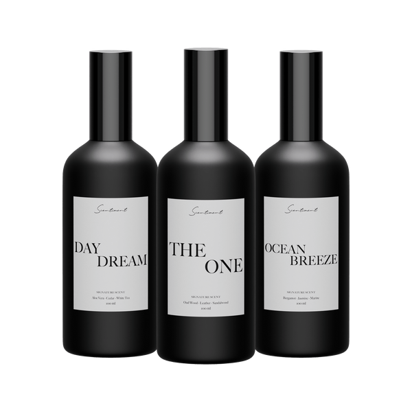 1 Hotel, Ritz-Carlton, Westin Air Freshener Luxury Hotel Lobby Fragrance Room Spray Discovery Set of 3