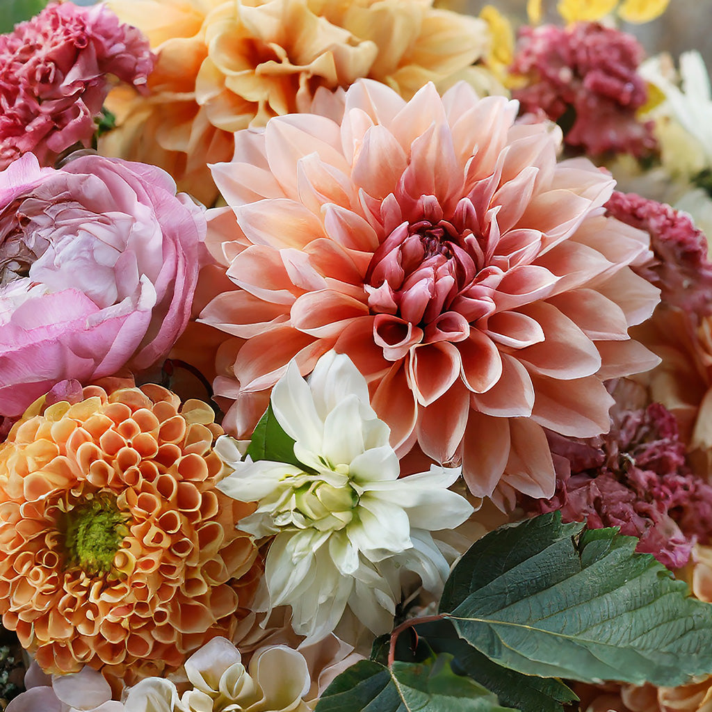 Soft Florals