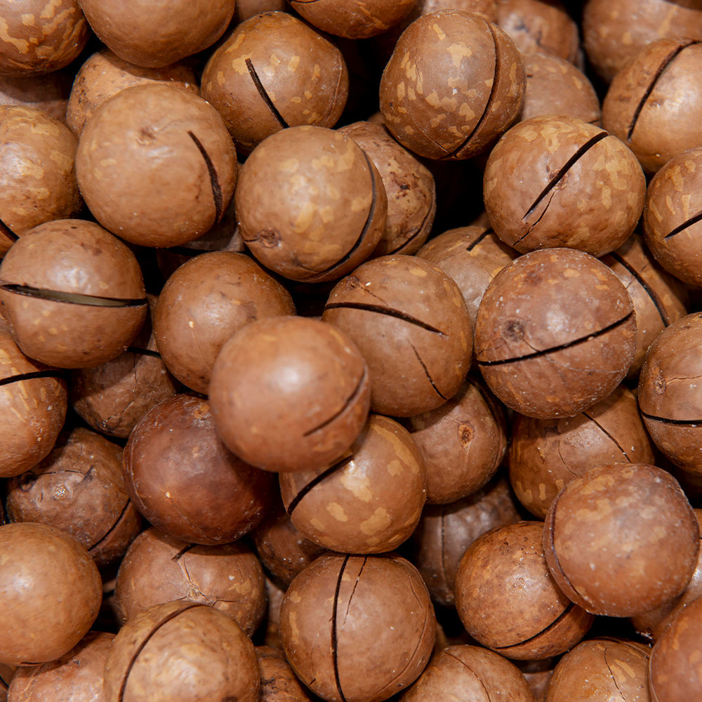 Toasted Nut