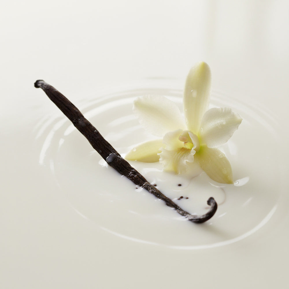 Vanilla Crème