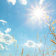 Warm Ozone