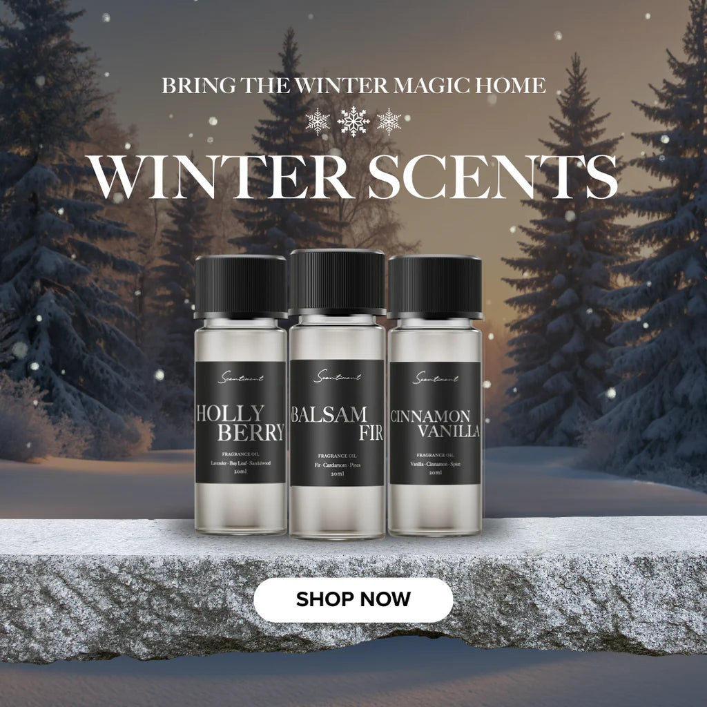 Bring Winter Wonderland Home ❄️