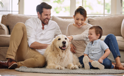 Safe for Pets & Kids